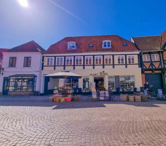 Bed and Breakfast Hoshelle Ribe Exterior foto